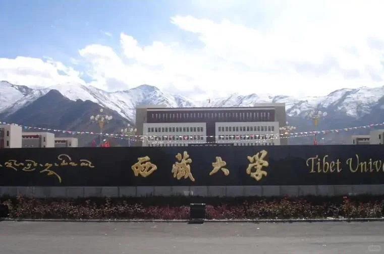 西藏大学和青海大学，为何不值得报考？