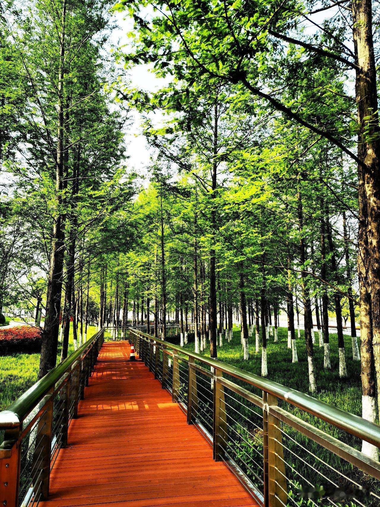 甬江边，遇见春意盎然的春天

今天上午，天气晴好，打卡宁波甬江的滨江公园。抵达靠