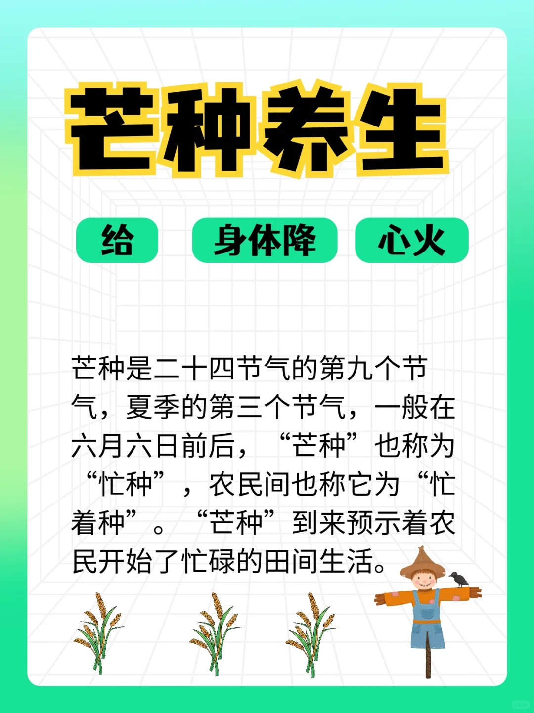 🌾芒种节气 | 顺时养 生，降心火啦啦啦……