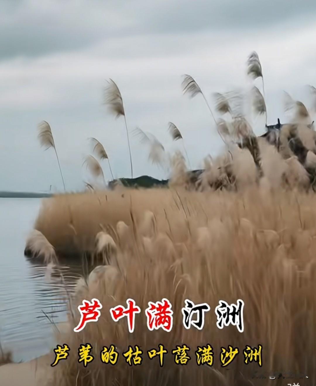 欲买桂花同载酒，终不似少年游
 
晨起风清，秋意悄然而至。翻了日历，才知道今天已