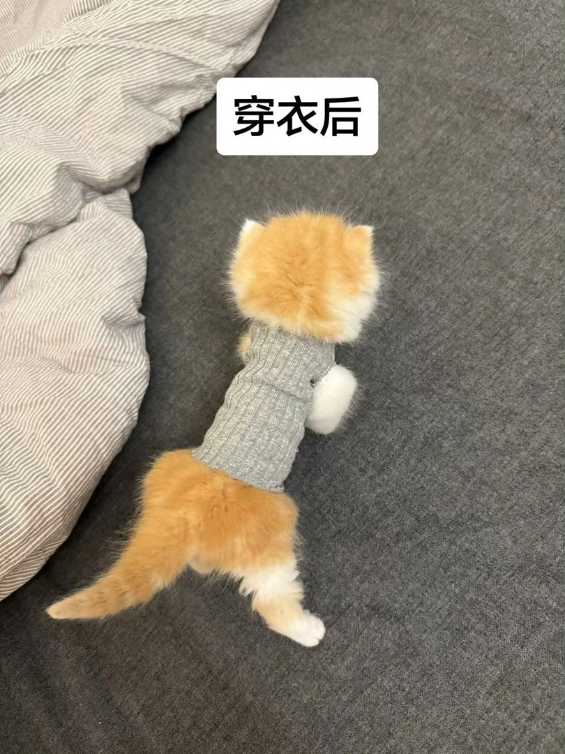 这紧身衣穿的没谁了小猫 真正的穿衣显瘦爆笑段子研究所