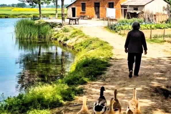 婆婆今年64岁，
是我们全家最敬爱、最温暖的陪伴。
十年前女儿出生时，
她离开公