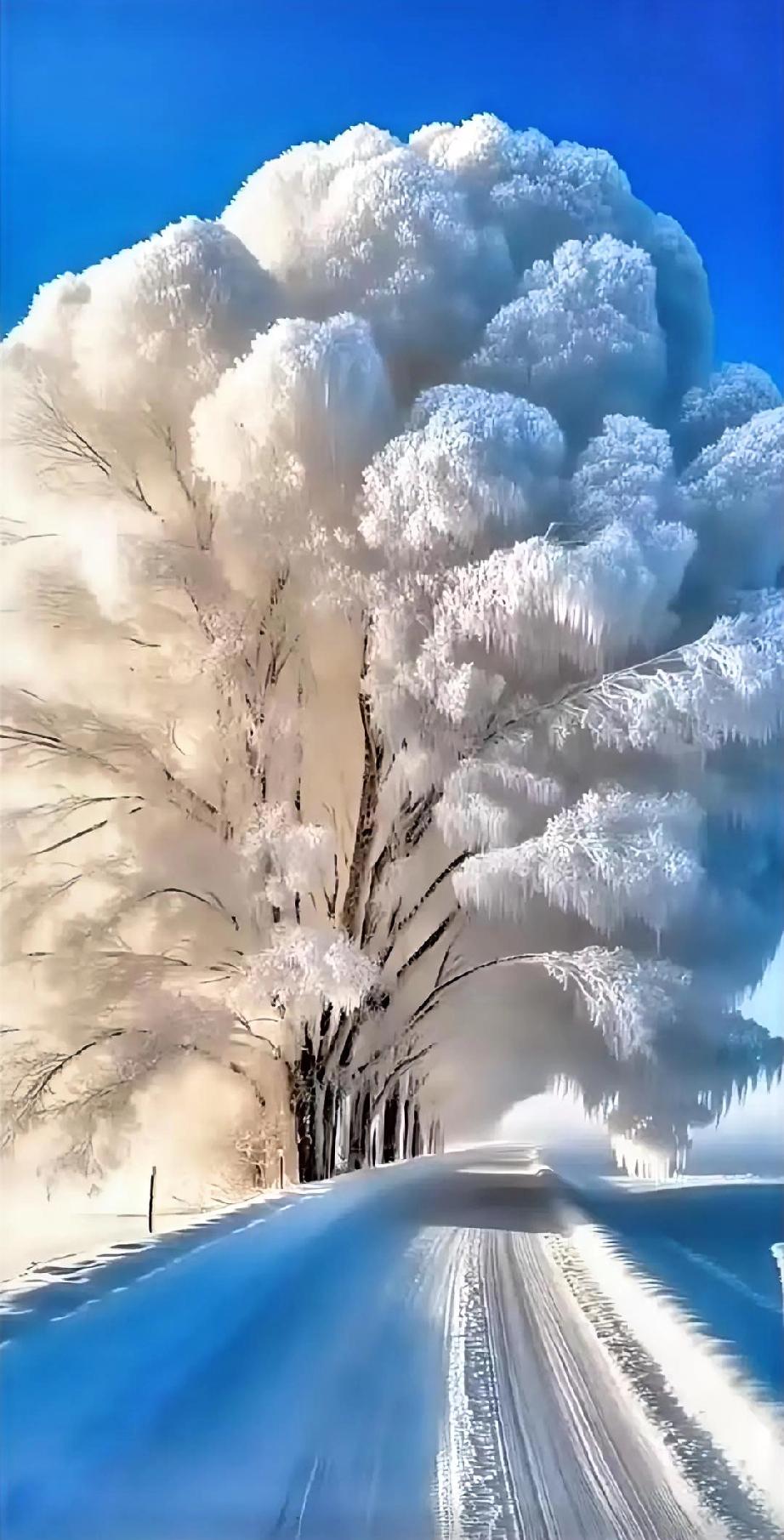 新年首日开盘前瞻：高开幅度定节奏，港股科技指数大涨，小心有人拉港股抛a股！
 