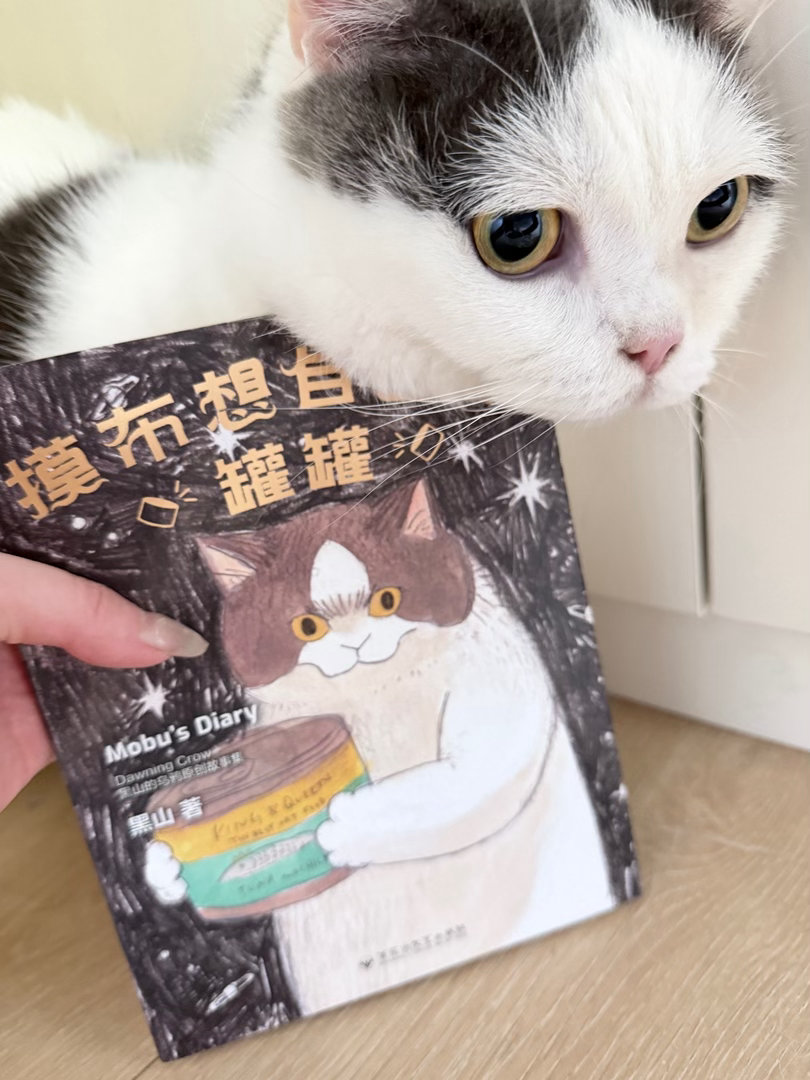 请严肃学习🐱