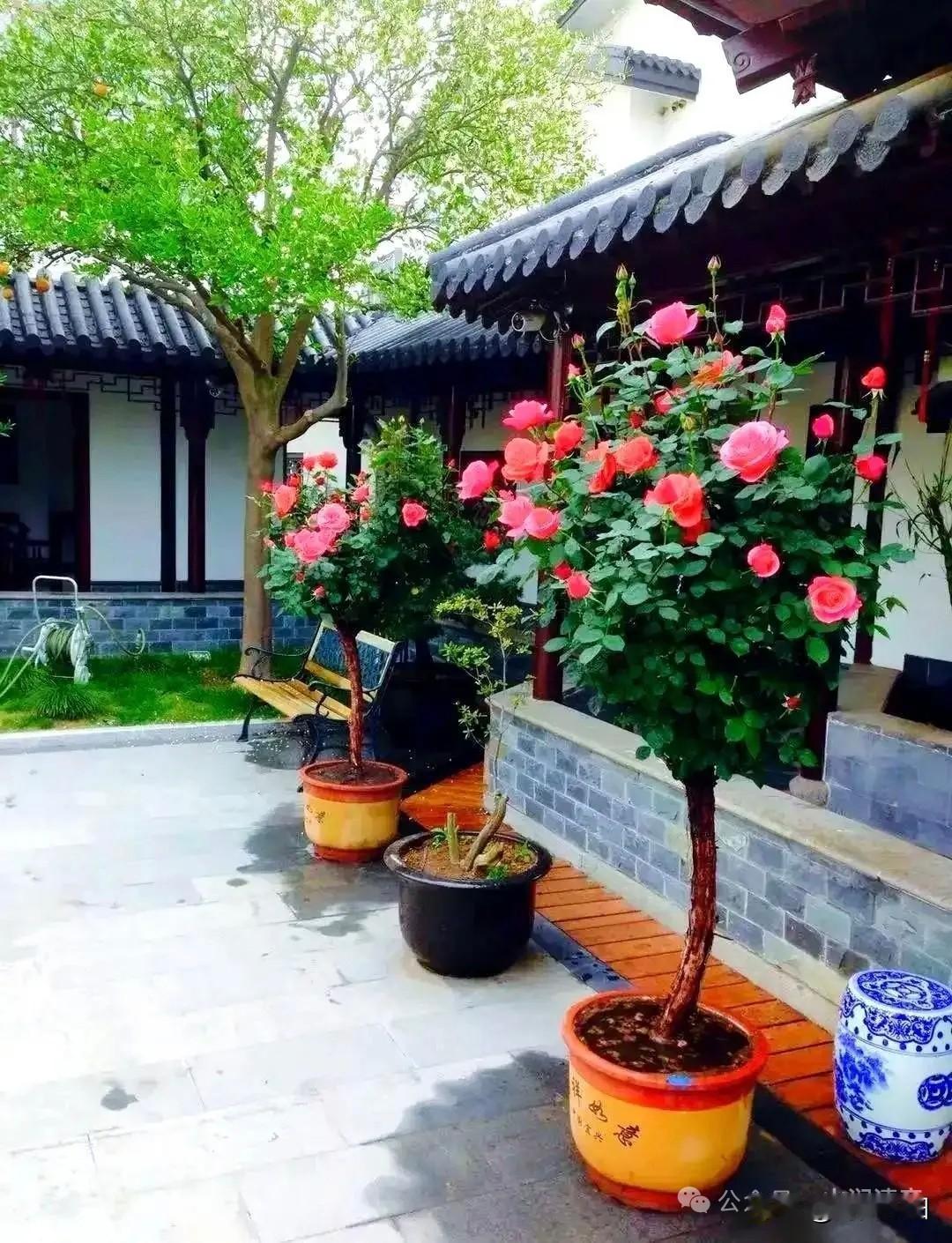 《鹧鸪天·酒》
 
一盏清醪慰世尘，
浅斟慢饮度晨昏。
销将俗世千般恼，
醉尽人