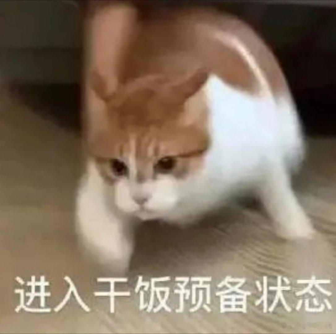 干饭时间到！你晚上吃啥？[干饭人] ​​​