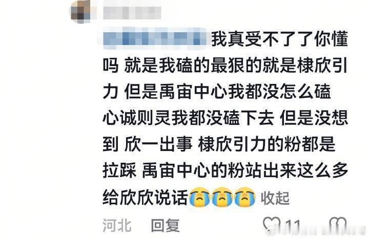 你再说一遍棣欣引力cpf没有帮虞书欣说话[微笑]都已经被打成yxh了还说没有帮[
