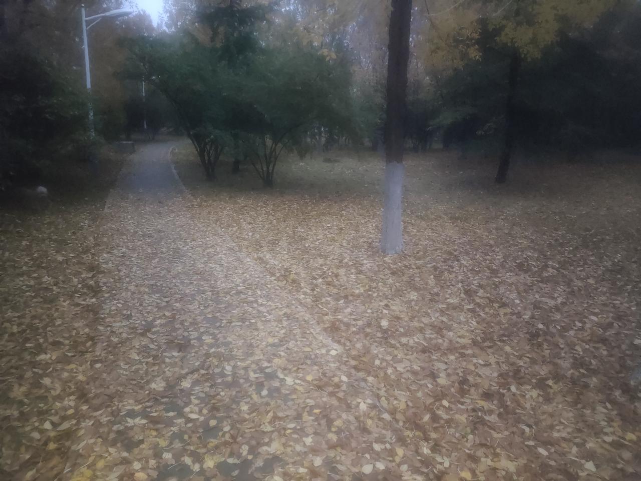 冬日生活打卡季