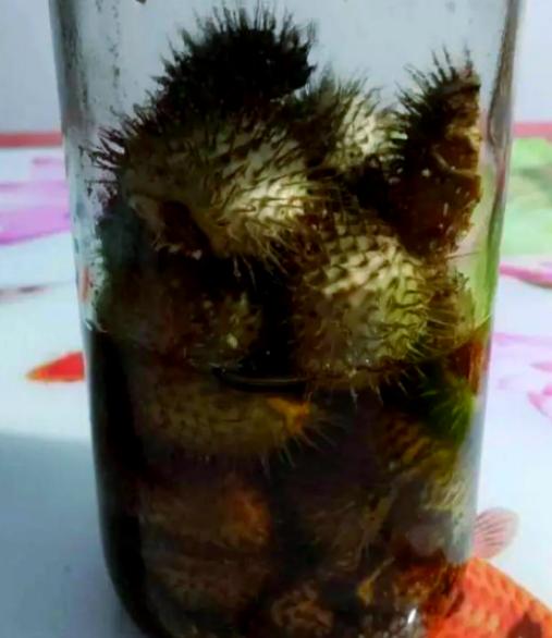 “悲剧还是发生了！”11月1日报道，北京，一八旬老人晚上睡不着觉，便打算喝点酒助