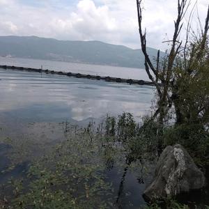 特大嘴巴讲故事