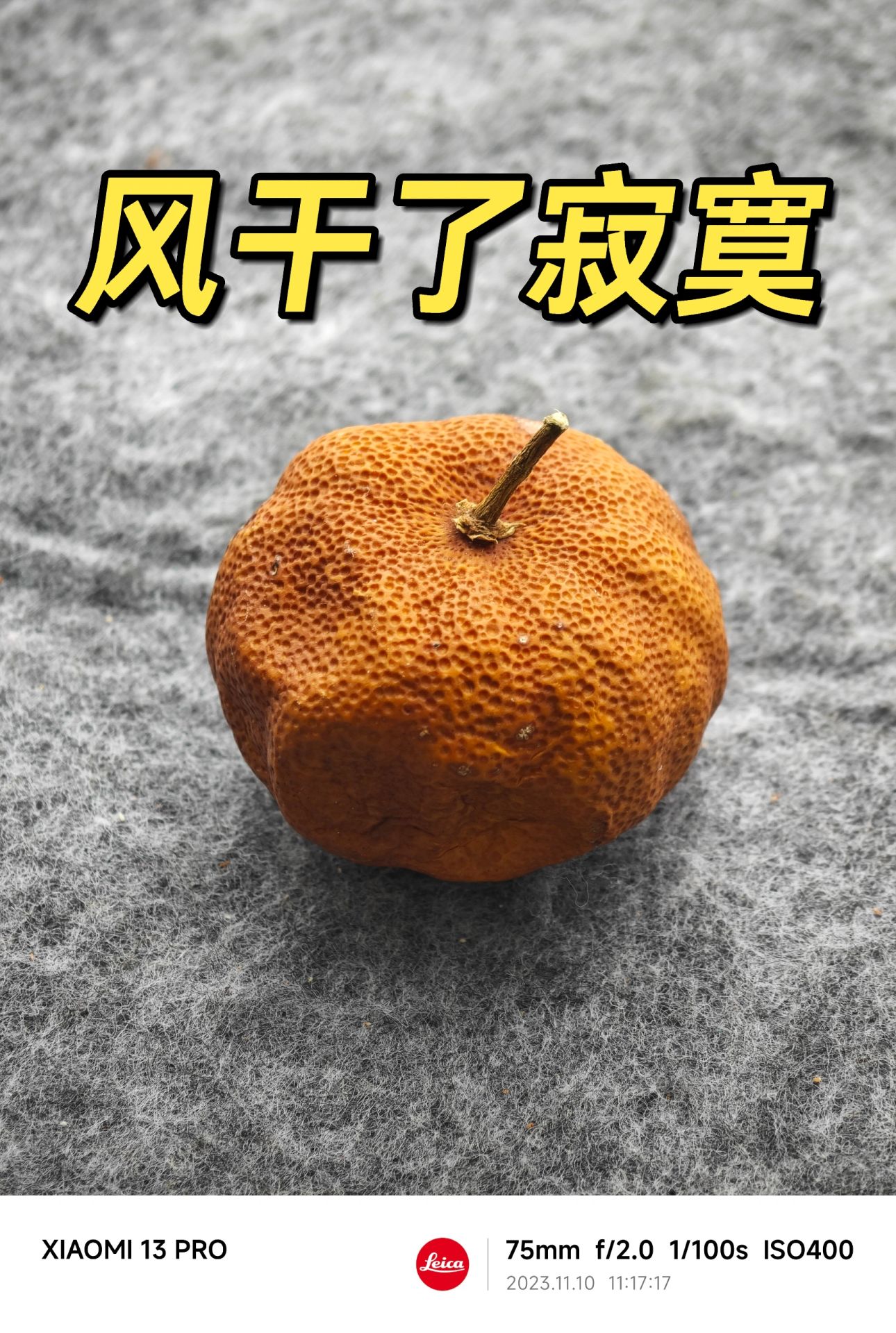 NO.316 风干了寂寞 小橘很冲动