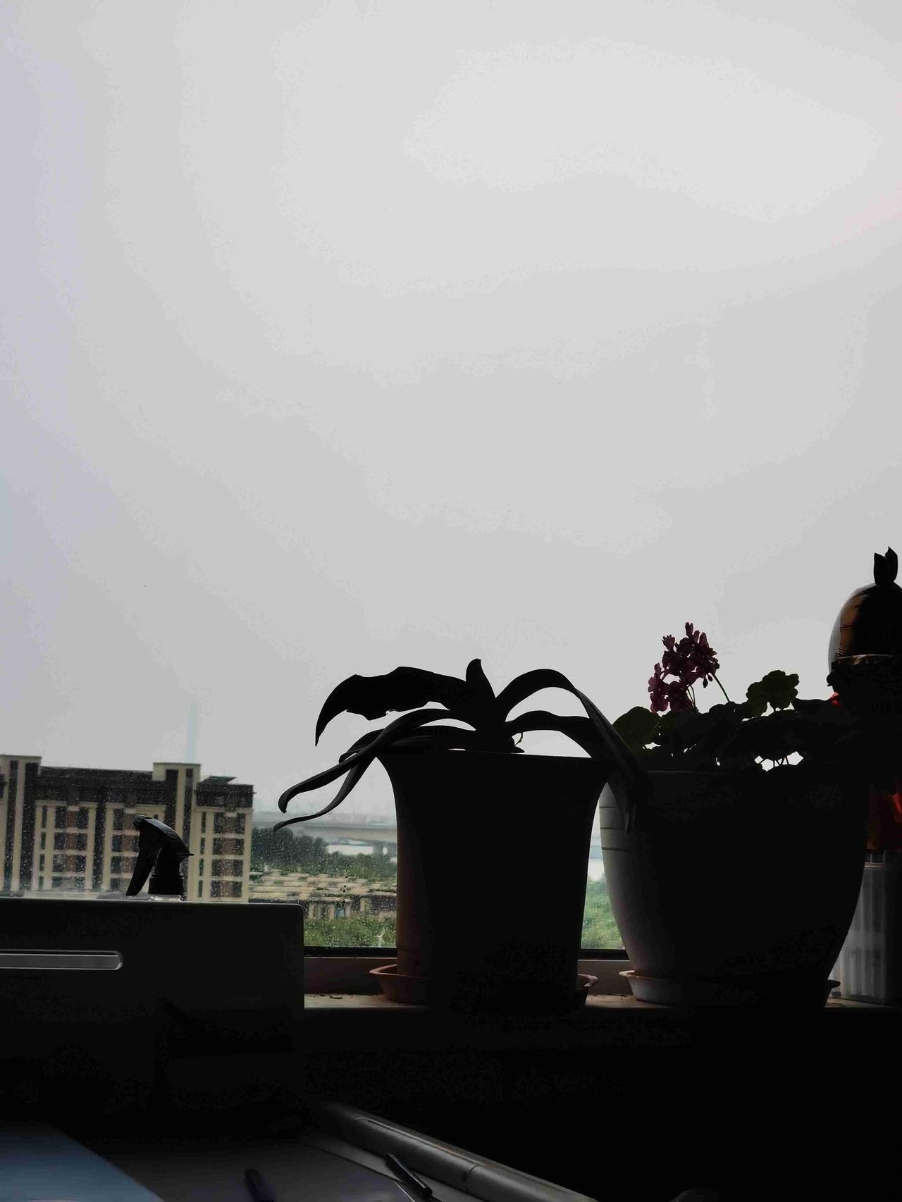 我的今日状态：😁轻松愉快
我这里的天气：☀️晴天