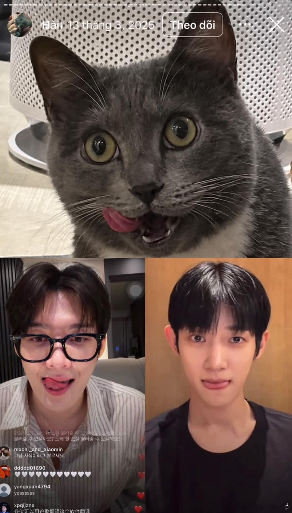 👅🐱🦊🐰🦊，不是一家人不进一家门