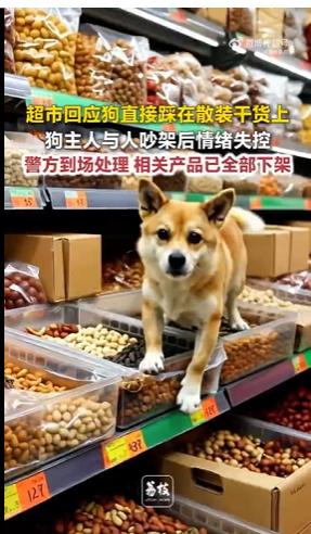 这养狗人太不像话了！广东广州，一名女子和男友一同逛超市，将自己携带的宠物狗直接放