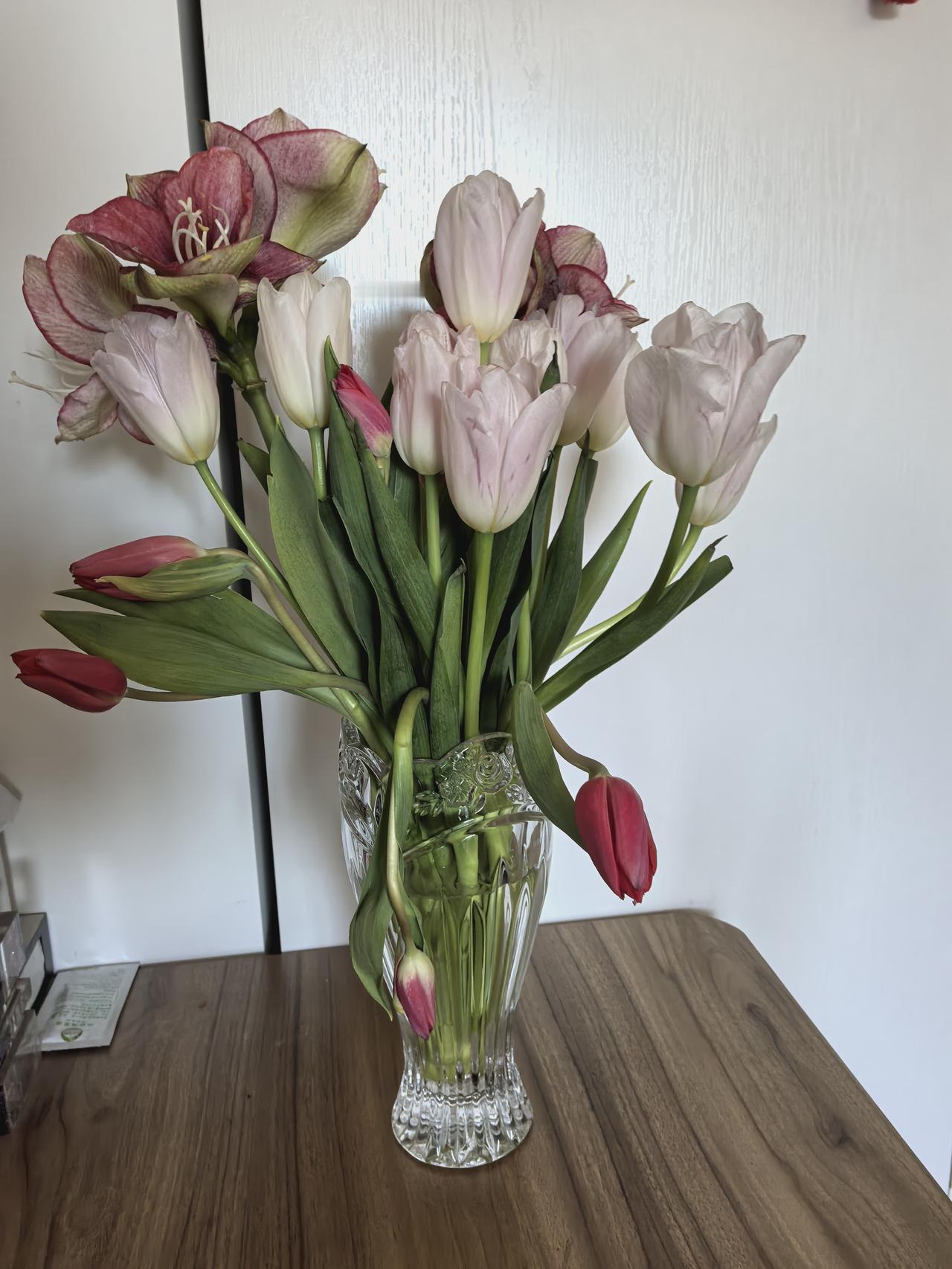 《瓶中春事》
 
晨光漫过窗台时，我正往玻璃花瓶里注水。昨天从花市抱回的花还裹着