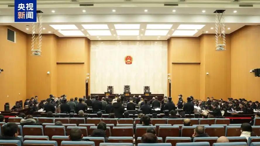 2025年11月4日，广东省深圳市中级人民法院一审公开宣判白家犯罪集团案。以白所