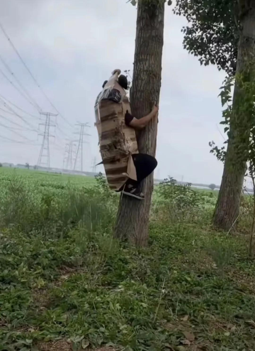 早上回村里，遇到这个玩意儿，吓老子一跳！
