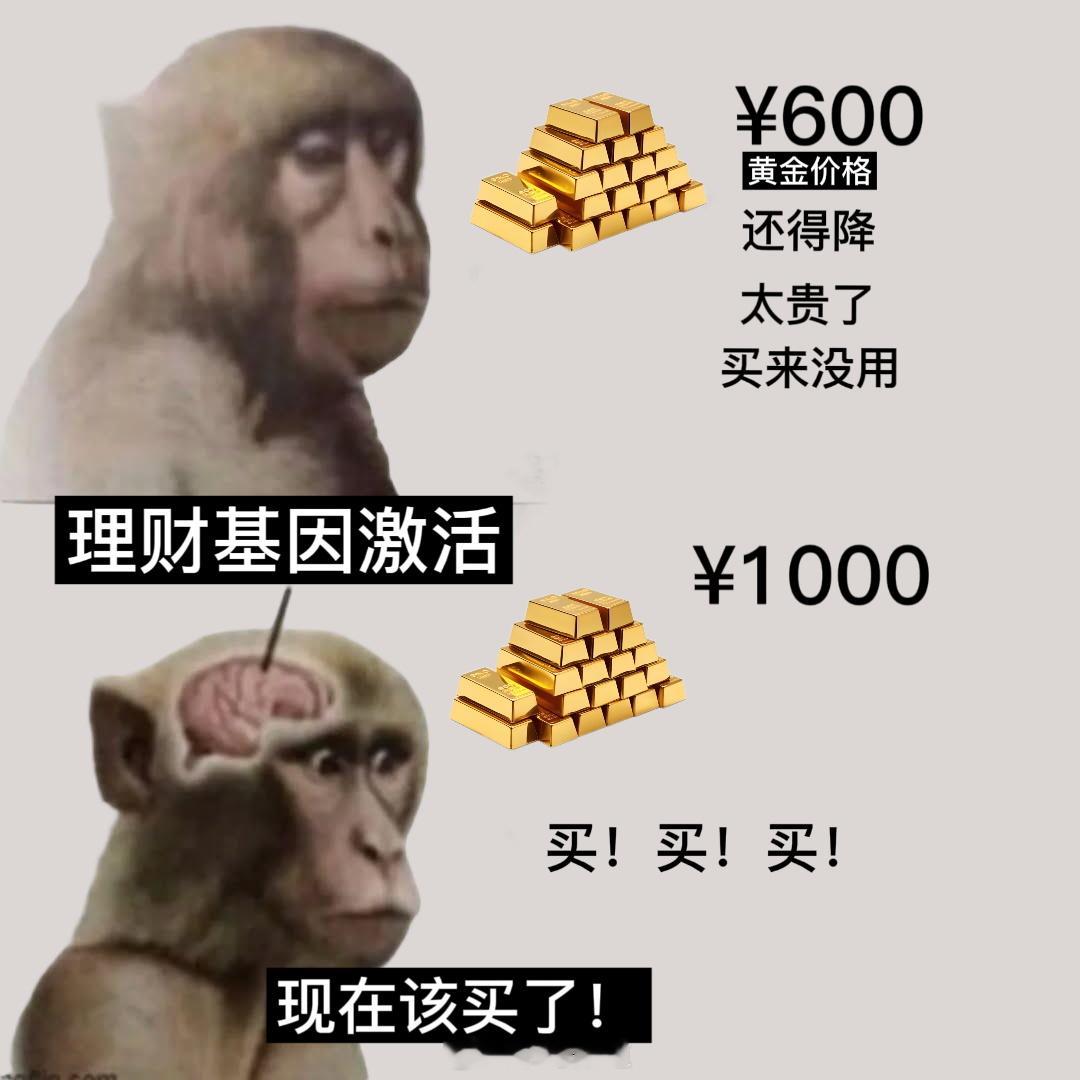金价金价600 的时候我嫌贵没买，1000 的时候我的理财基因激活至此之后每当我