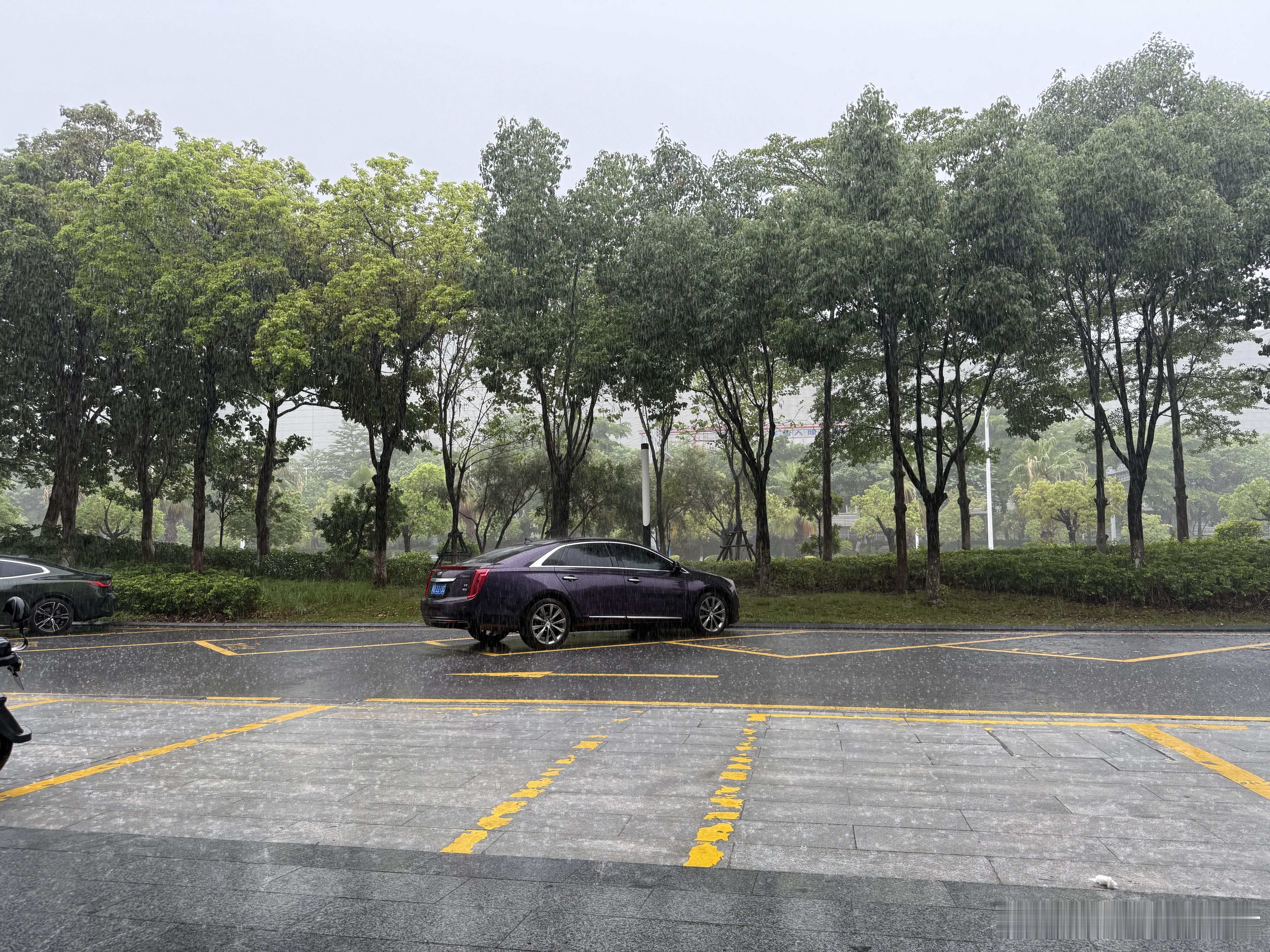 厦门这几天又到了下雨🌧️的时节了，真凉快[嘻嘻][嘻嘻]  ​​​