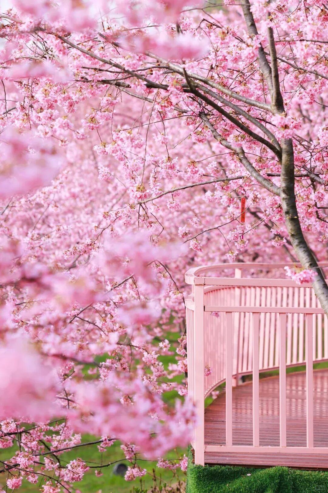 【情绪稳定不是没有情绪，而是能够接受逆境到来，坦然面对失去；发了脾气之后，依旧热