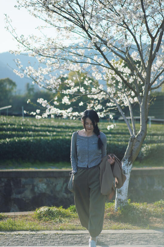 不见方三日，世上满樱花｜龙井茶山下的樱花树