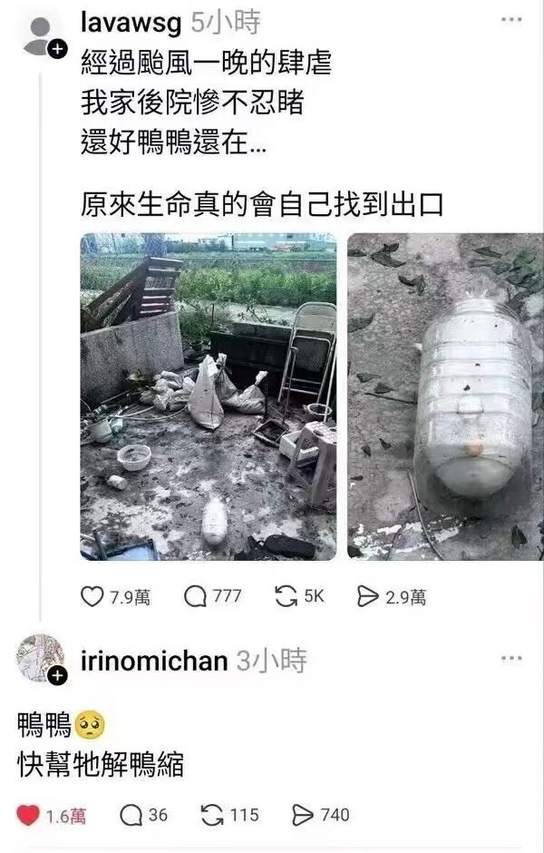 永远可以相信湾湾的谐音梗 ​​​
