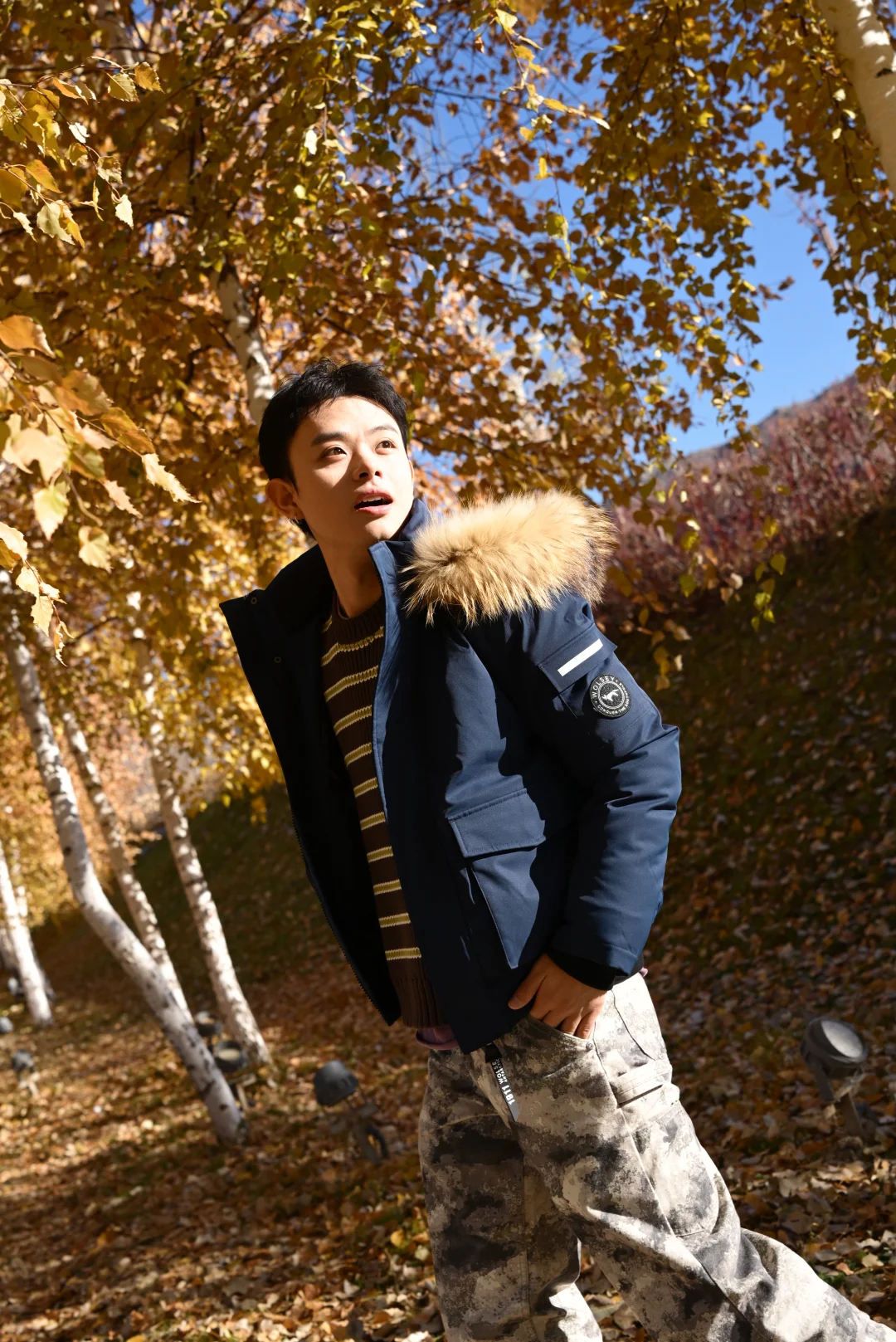 可可托海的秋天🍁