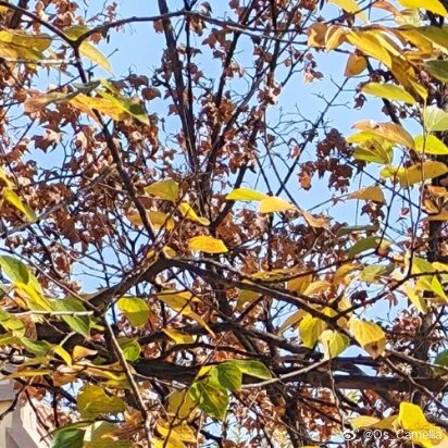 无论何等微不足道的举动，只要日日坚持，从中总会产生出某些类似观念的东西来。 