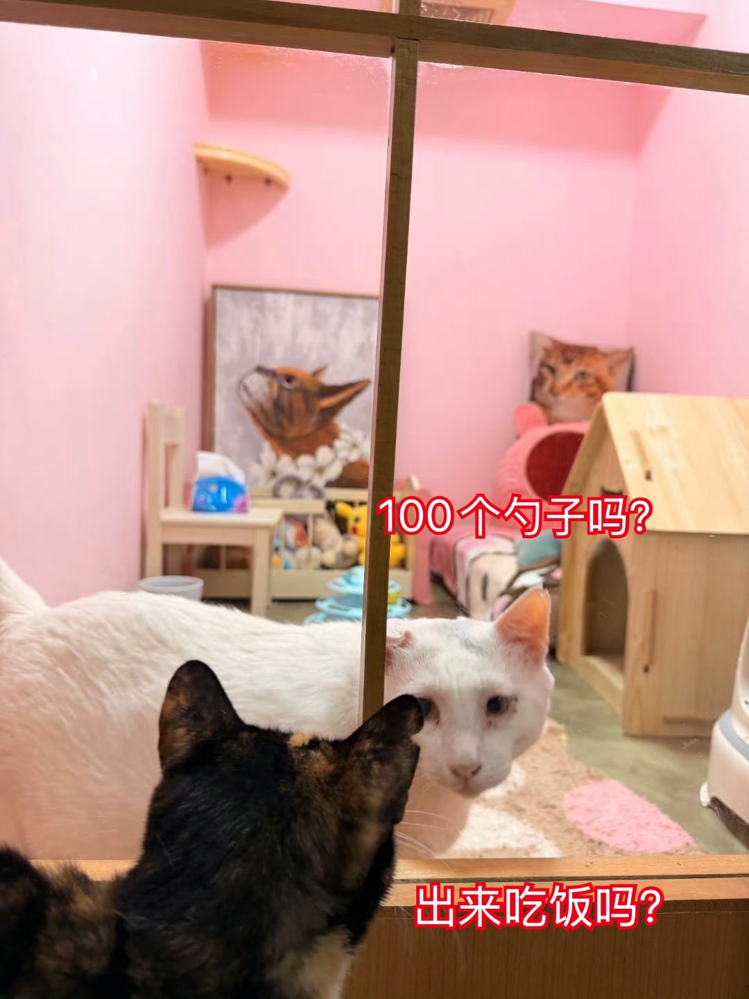 东北虎你吃吧我实在吃不下了哈哈哈哈哈😂笑死了。。 ​​​