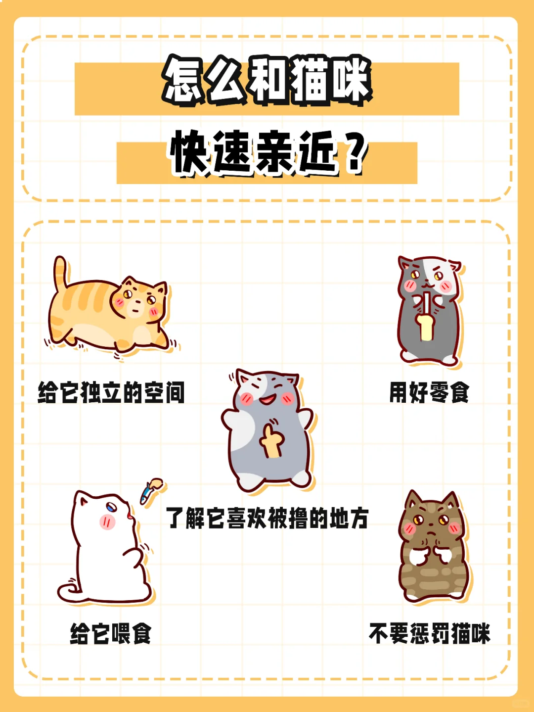 怎么和猫咪快速亲近？