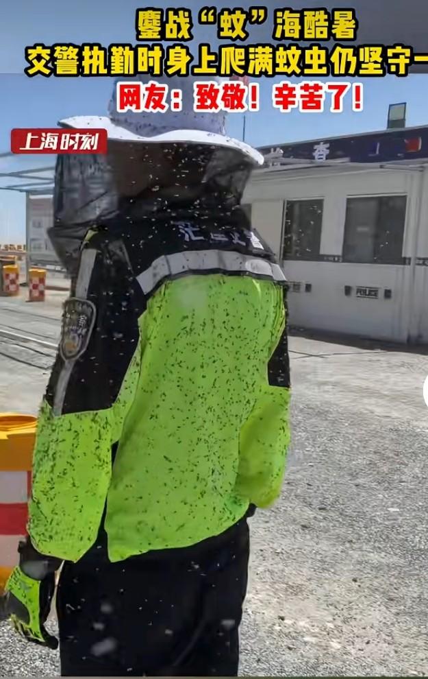 最近网上一段青海省海西州交警执勤的视频火了。视频里，密密麻麻的蚊子爬满交警衣服，