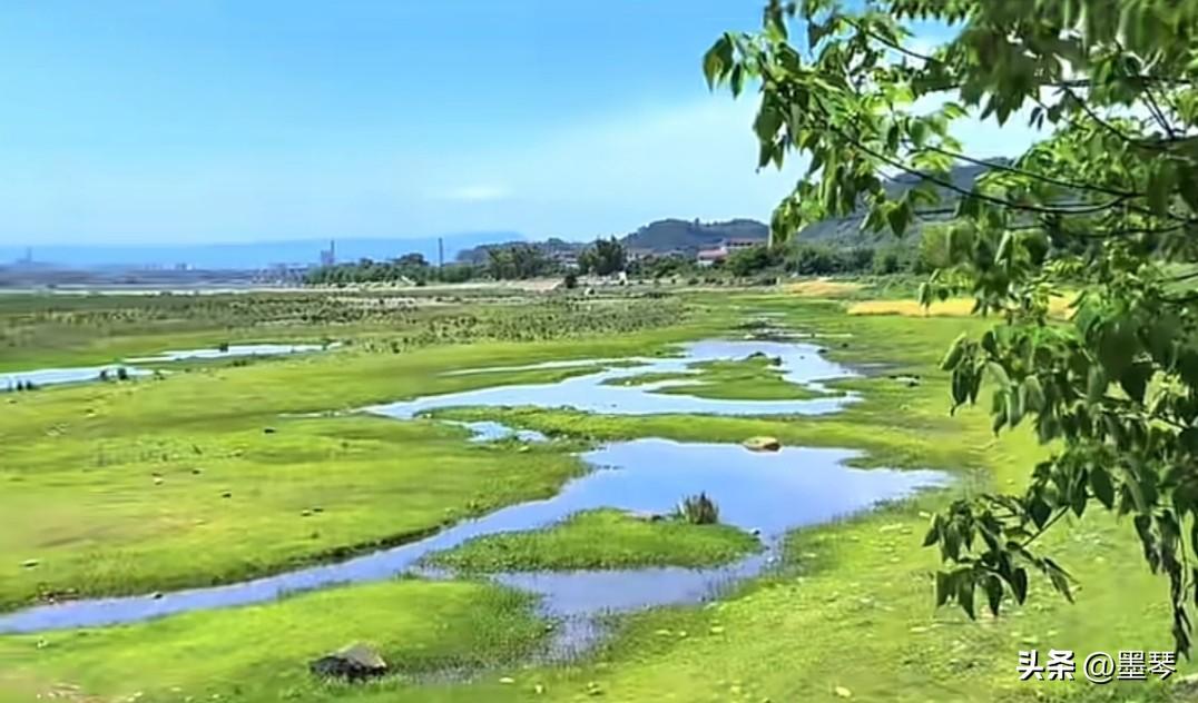 永遇乐.春深

墨琴


向晚余辉，幽亭夕暮，啼鸟归去。小径台空，长街客满，酒肆