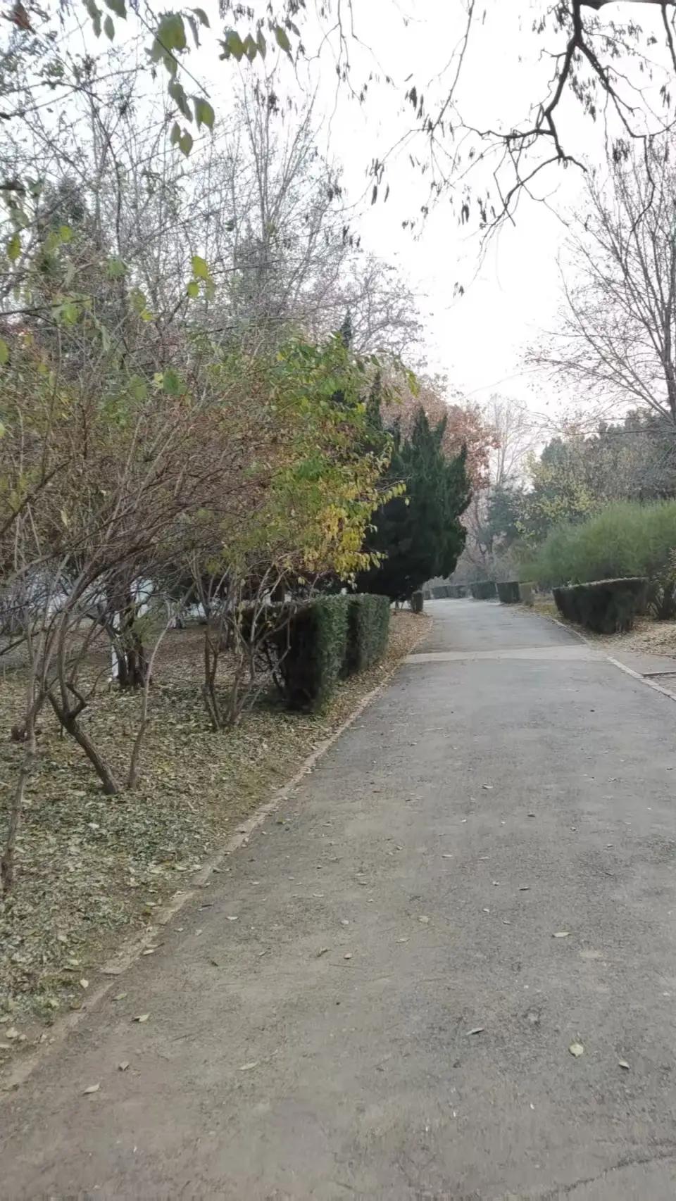 【震撼！善行如种子，终将收获意想不到的回报！这位女老板的故事感动千万网友，值得每