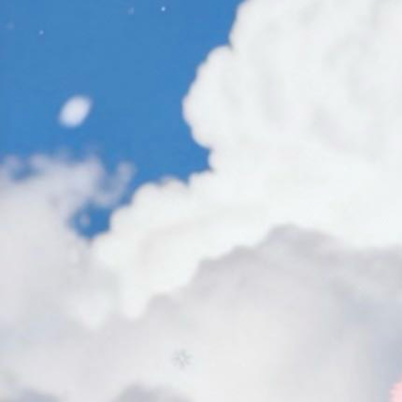 生活里的小确幸，像毛绒绒的软乎乎，总能把疲惫裹成温柔✨愿我们都能接住日常里的每一