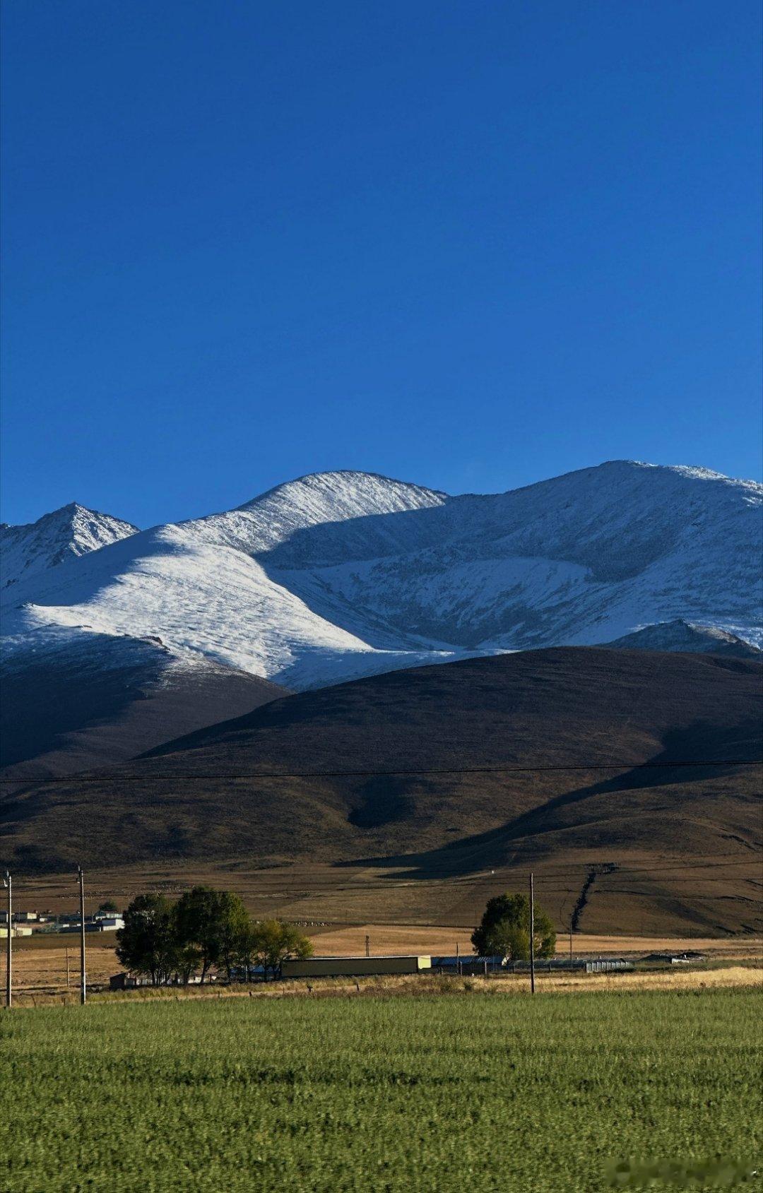 湖北姑娘奔赴青海致敬索南达杰跨越千里从湖北奔赴青海，踏遍高原土地，致敬英雄索南达