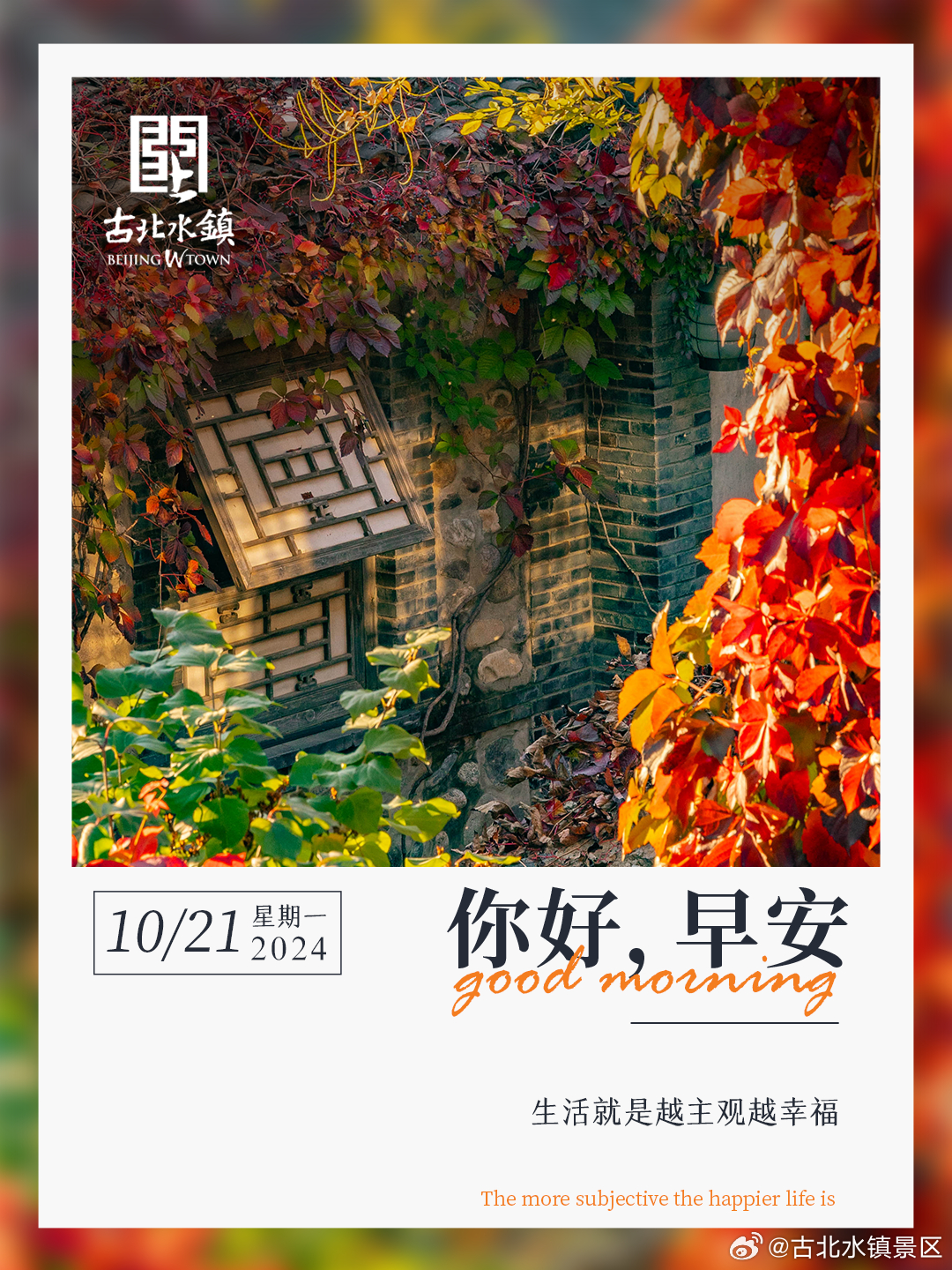 生活就是越主观越幸福早安，宝子们~ ​​​