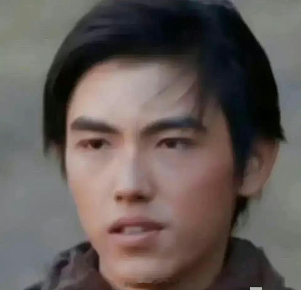 陈飞宇的颜值真的是个迷，第一张随爹，第二张随妈是吧[doge] ​​​