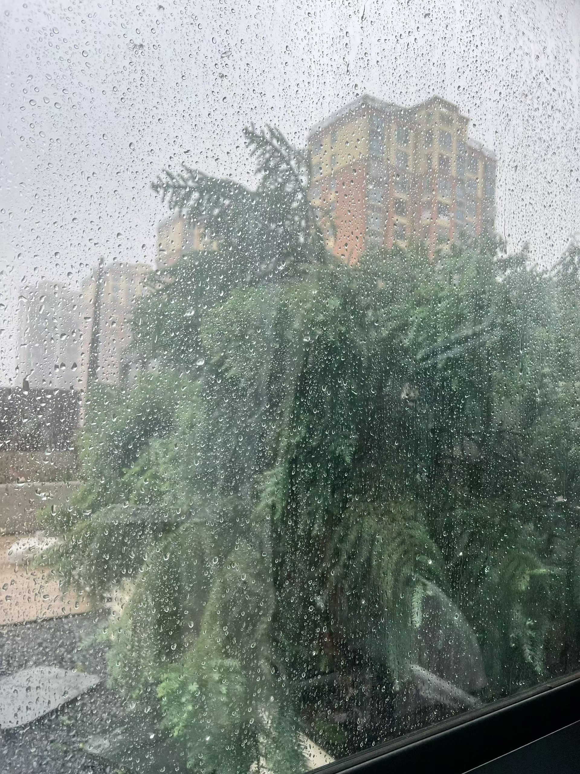 台风巴威路径变化我的老家在浙江温岭，之前一直说台风的路径是在福鼎到温岭一带登陆。