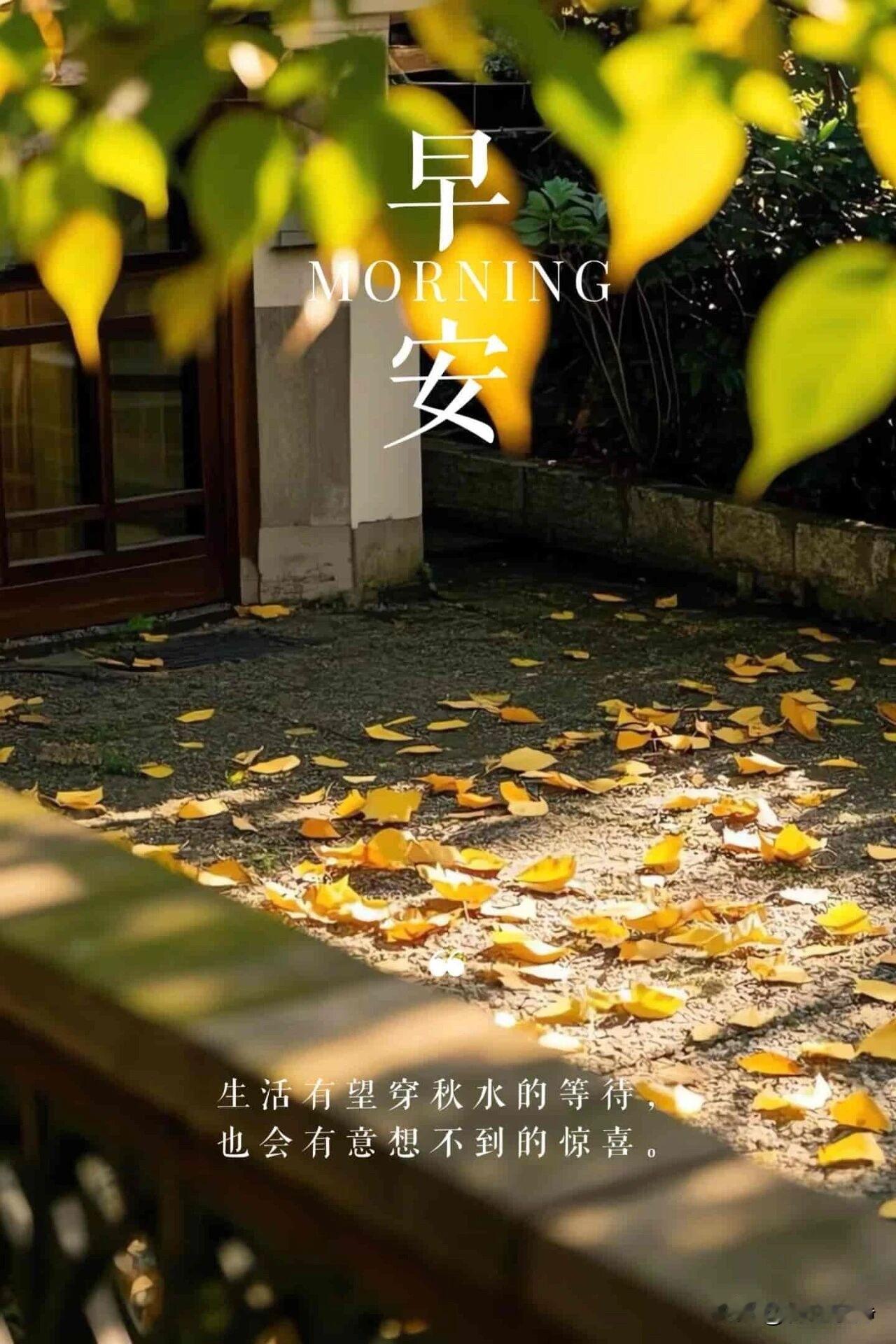 🍂²⁰²⁶/₀₈.₁₇ᵕ̈周一｜秋光向暖☕️🍒🍑🐎
一缕朝阳破晓，温柔铺