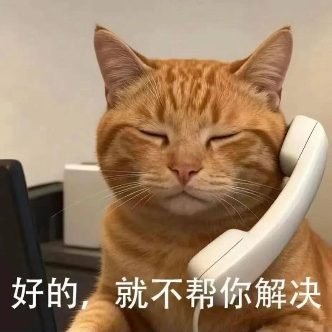 张凯丽署名新规致番位混乱张凯丽要求的新规，到最后最受影响的还是糊糊，以前流量愿意