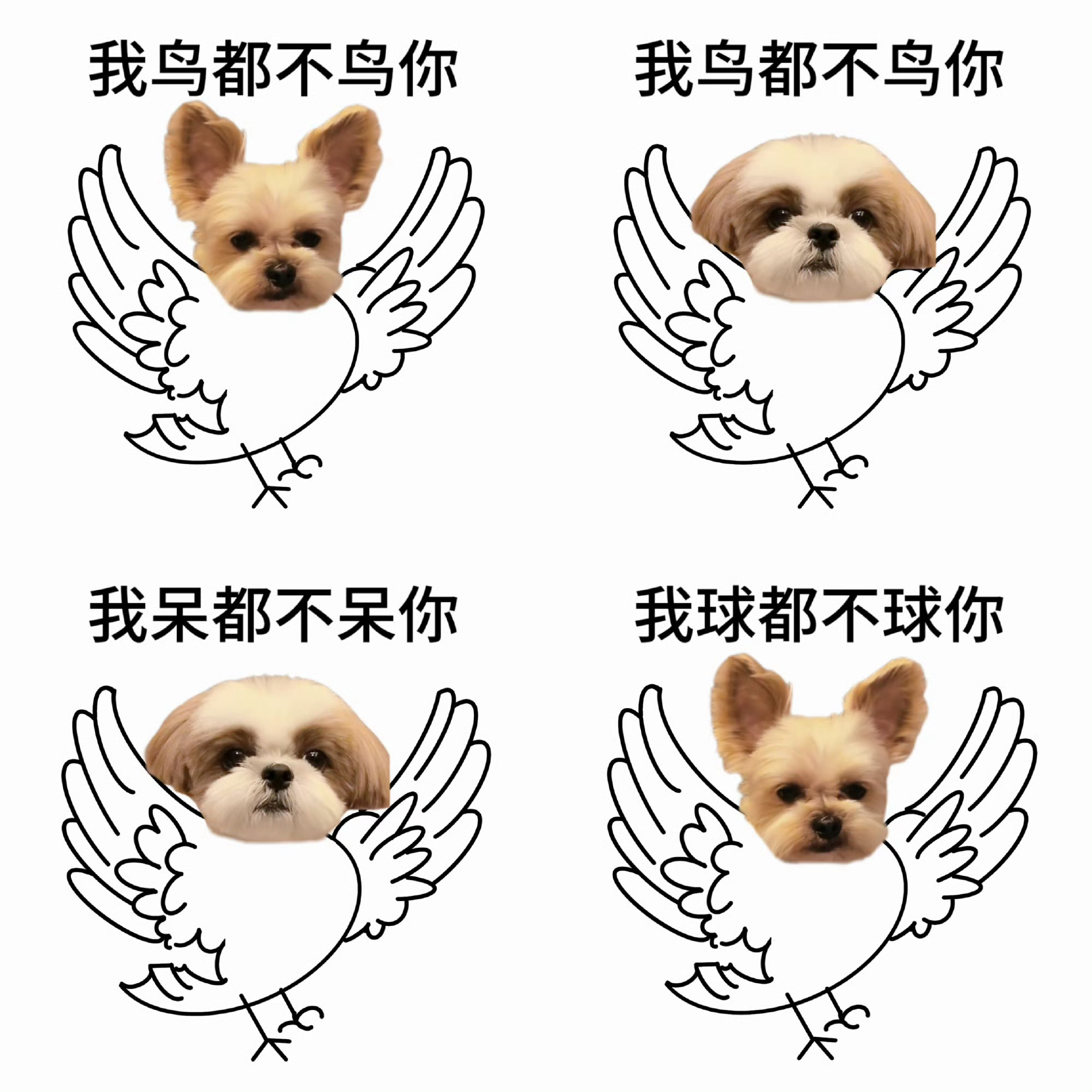 分享图片 