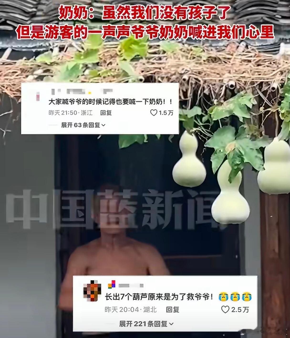 葫芦娃爷爷 失独家庭葫芦娃不管是什么情况下都是来拯救爷爷的就算明年这些葫芦藤长不