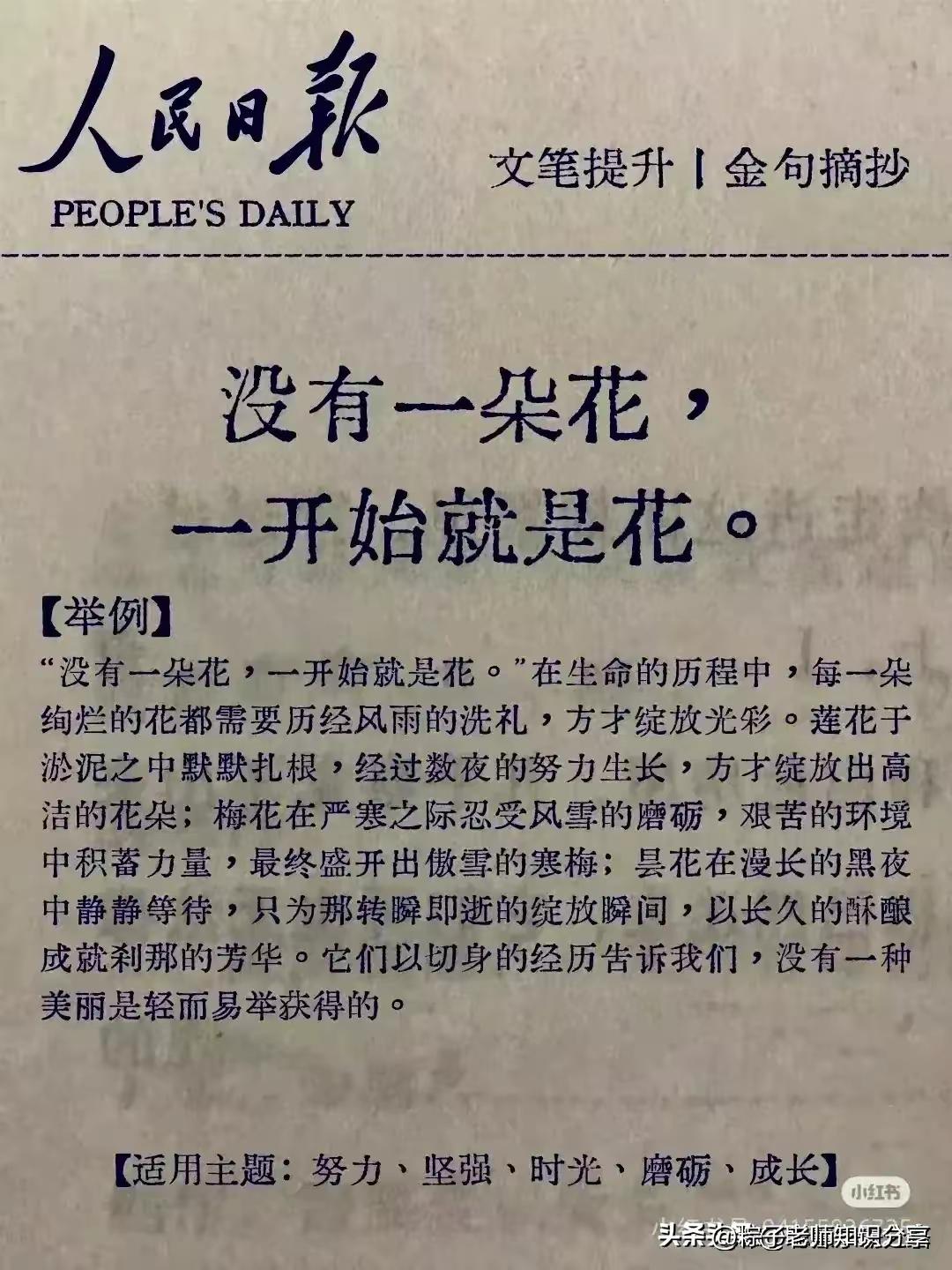 秋日生活打卡季