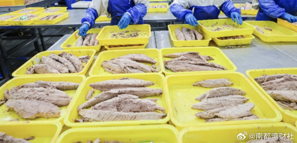 【日料店不用日本水产了、超市改国内平替】11月19日，记者采访了多家日本料理店，