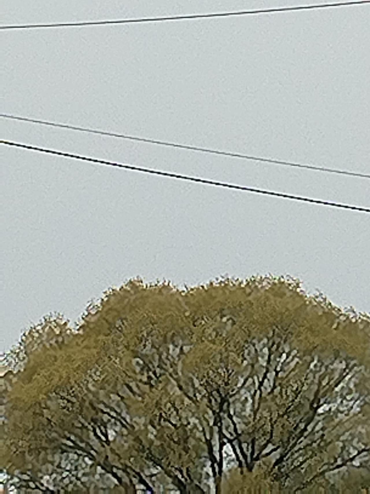 好好活着，温柔待己。人这一世，不过是借副皮囊行走人间。百年之后，衣衫成灰，器物蒙