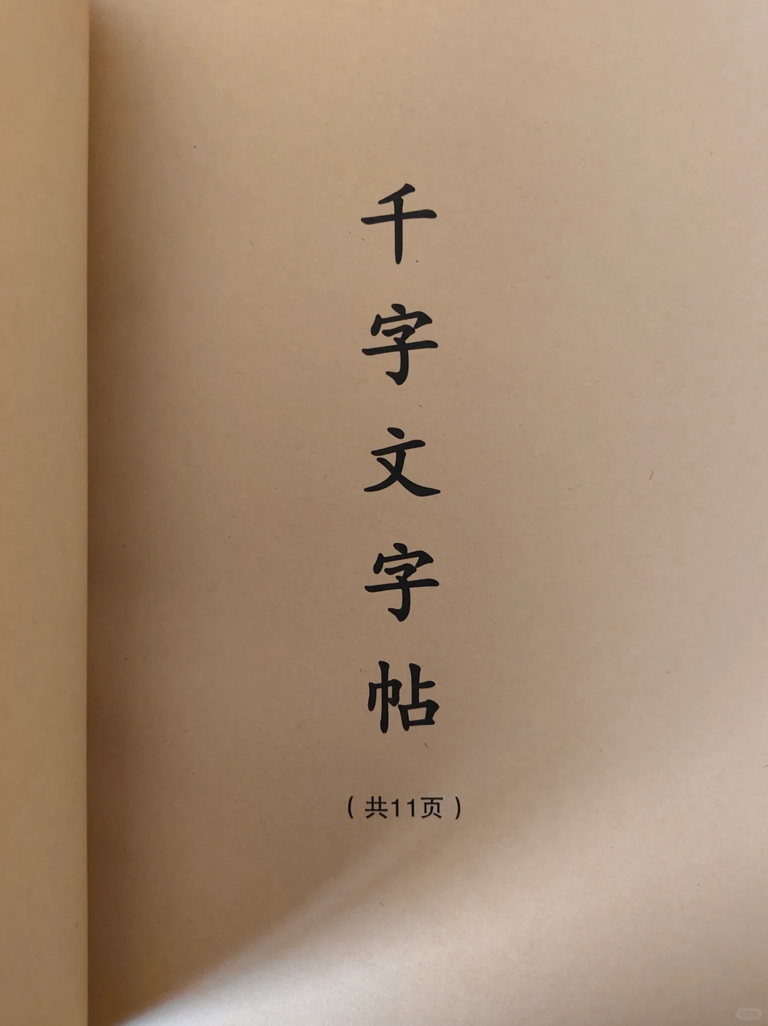 手写诗词一首