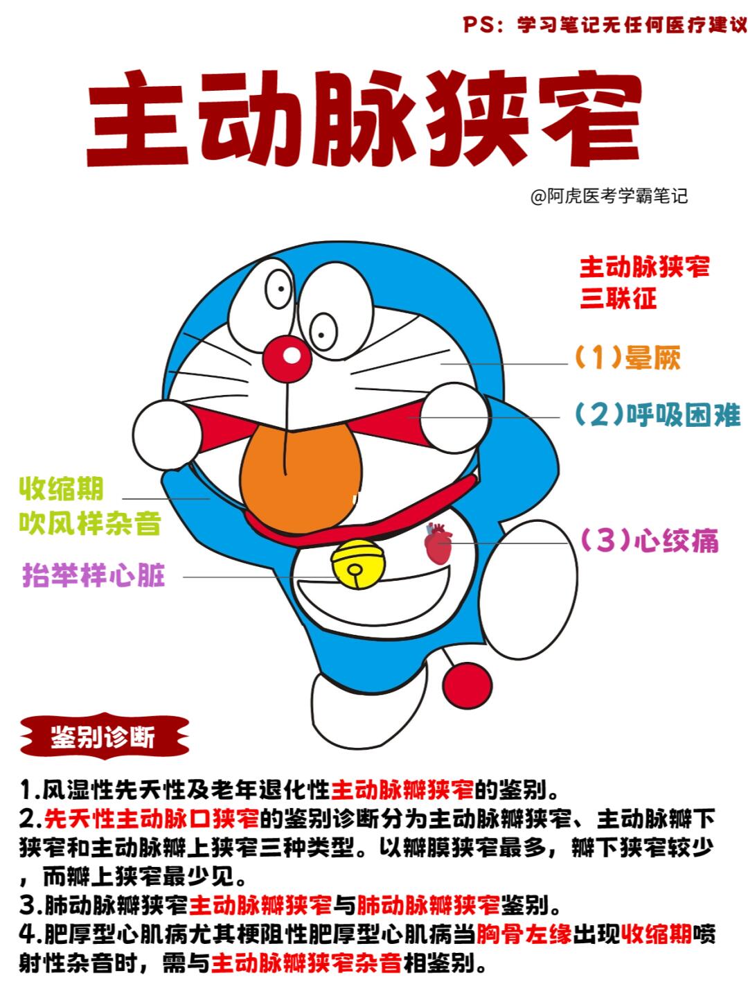 医学生笔记📒：当蓝胖子主动脉狭窄👆