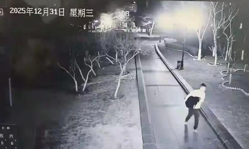 偷天鹅下锅的毛贼，真是饿疯了？大连儿童公园的黑天鹅“达达”元旦夜被抱走宰杀，监控