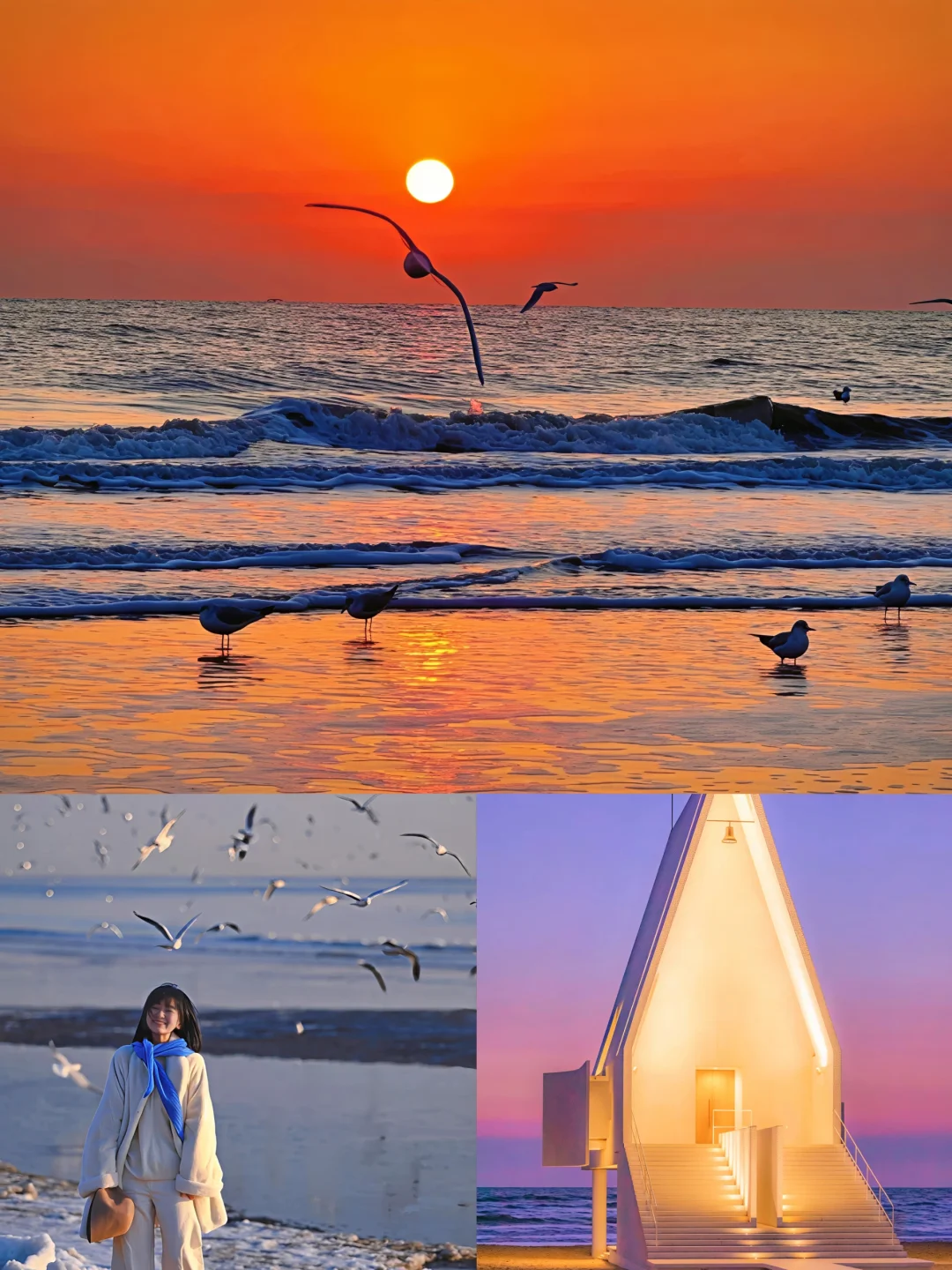 光与陆契合 月与海浪漫📝