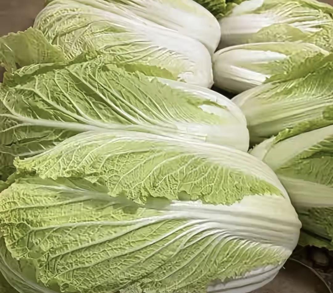 最近看到新闻说湖北那边有种菜的用了禁药，种大白菜的时候喷克百威。这种药毒性大，国